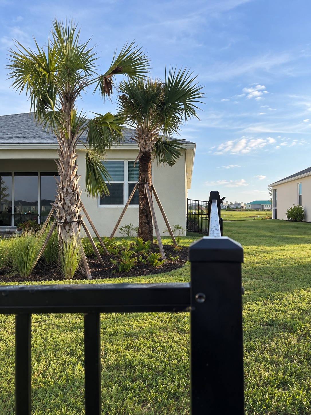 Close view along a black aluminum fence at a landscaped Florida home